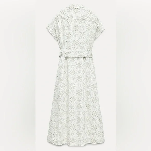 Zara Rubberized Embroidery Midi Dress - Picture 7 of 11